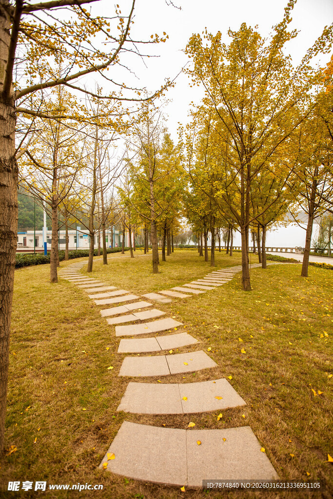 秋日林间石板小径美景