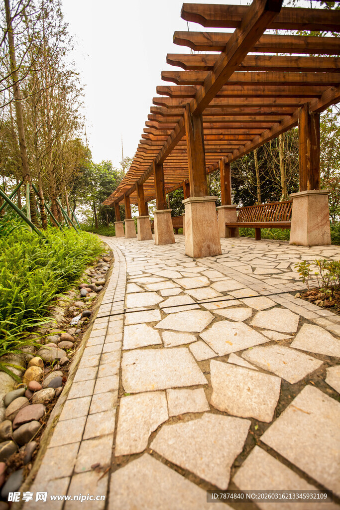 石径木廊下的静谧园林