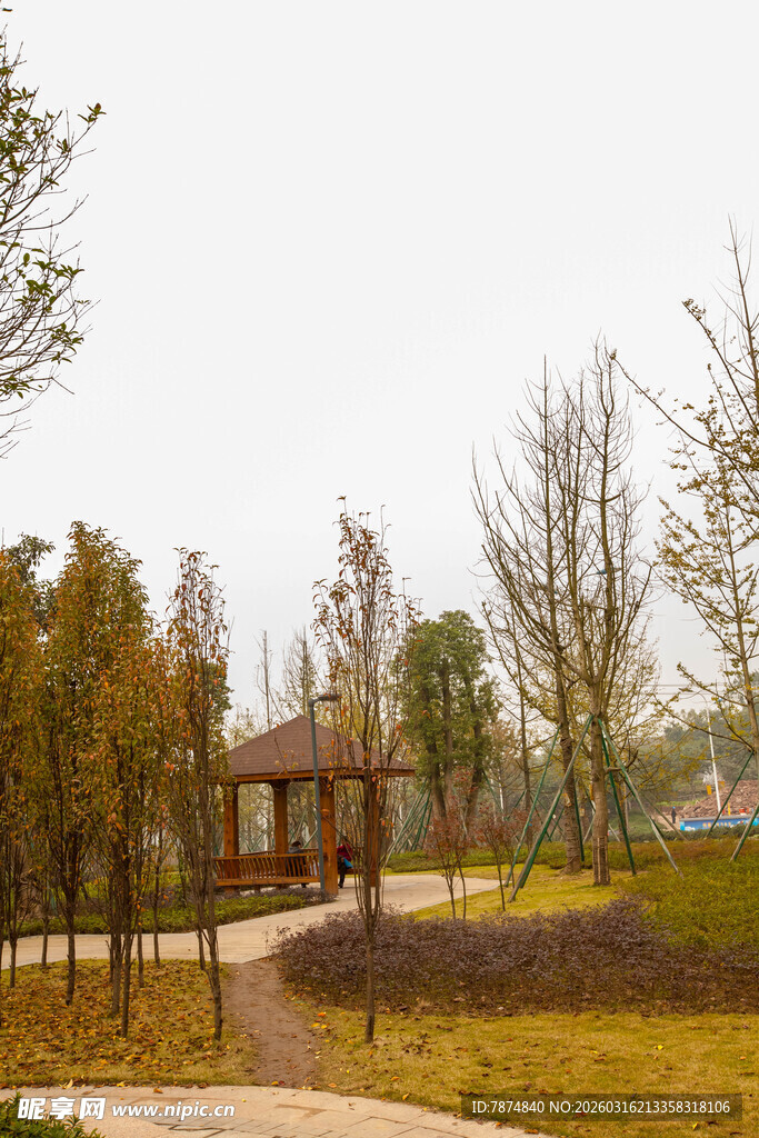秋日公园静谧景致