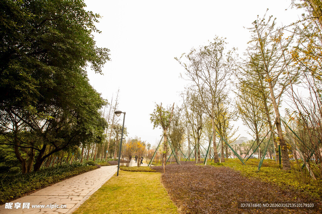 林间小径的秋日景致