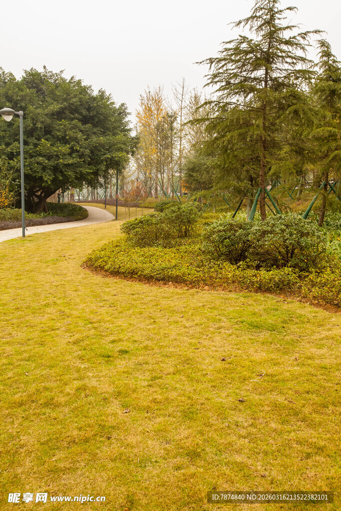 秋日公园草坪绿植景观