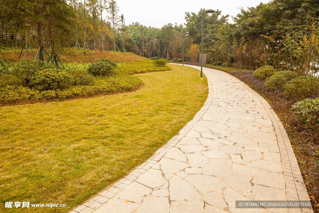 蜿蜒小径旁的绿意景观