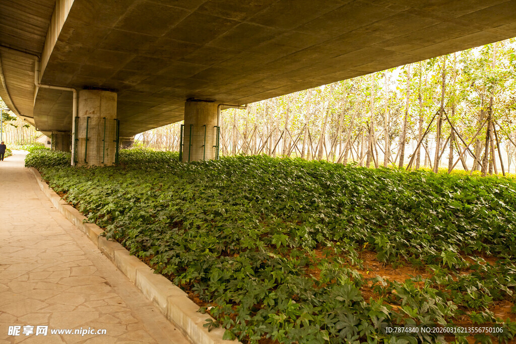 桥下绿植小道景观