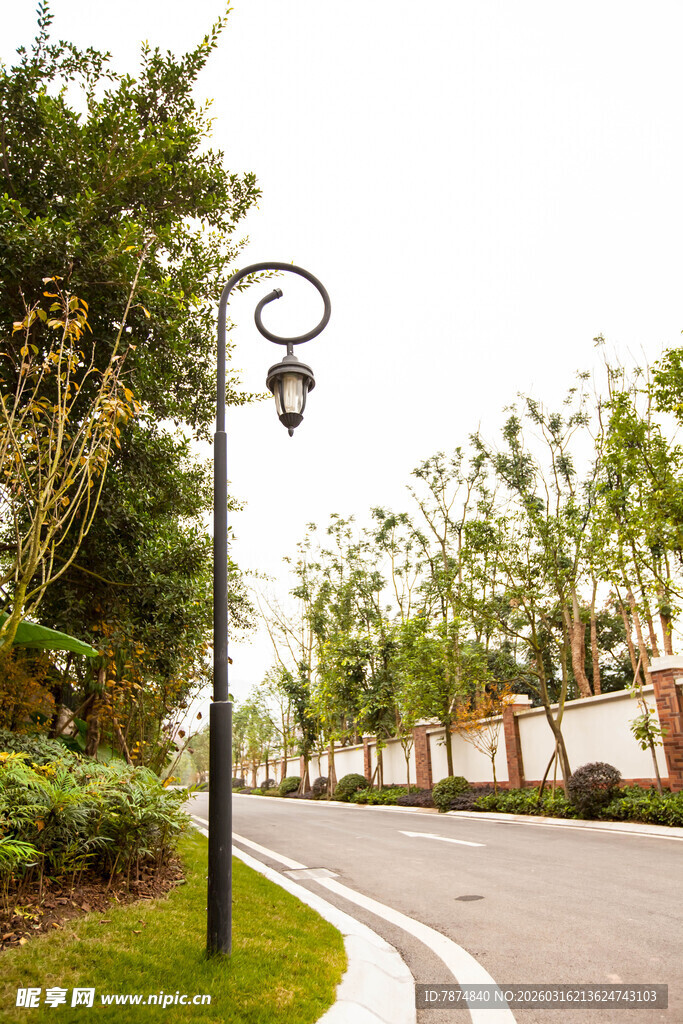 街道旁的精致复古路灯