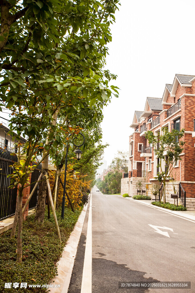 小区内绿树成荫的道路