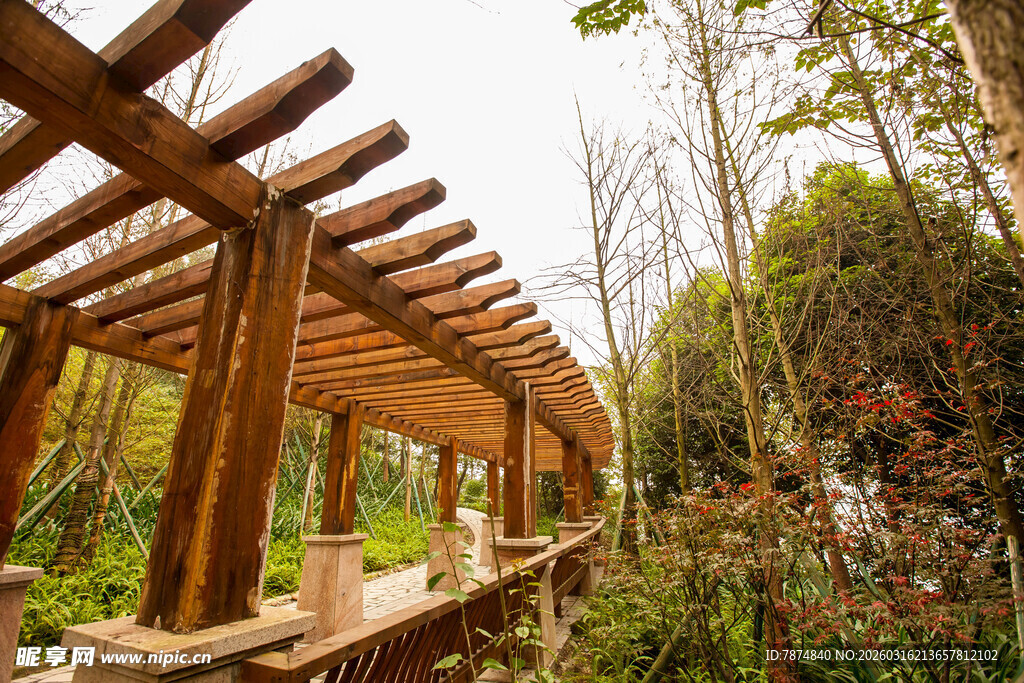林间木质廊架 自然休憩处