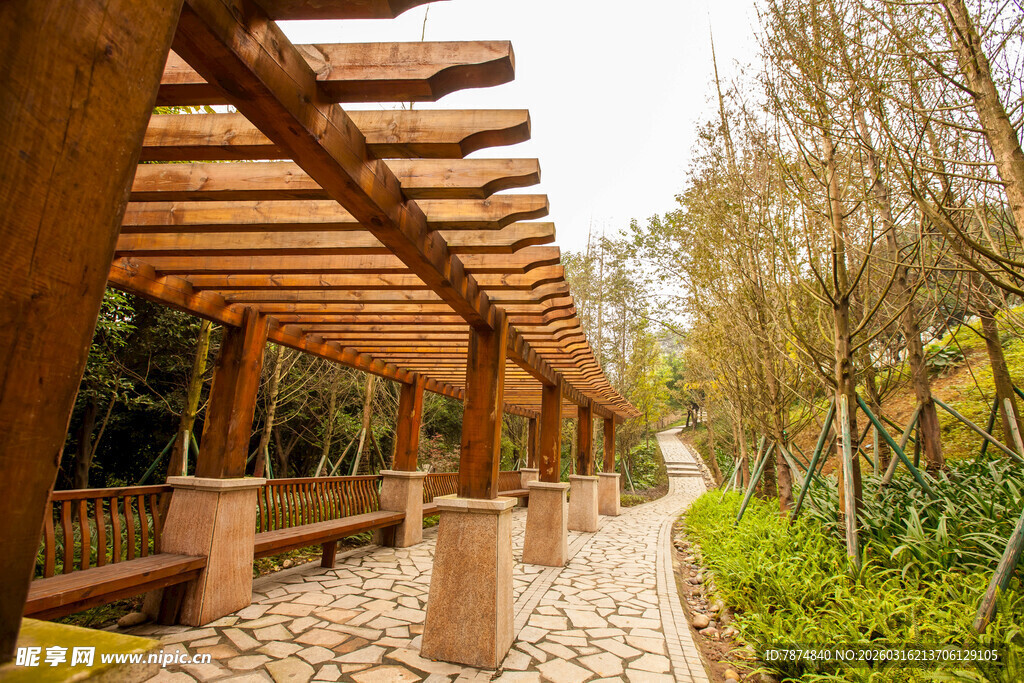 木质长廊漫步于绿意间