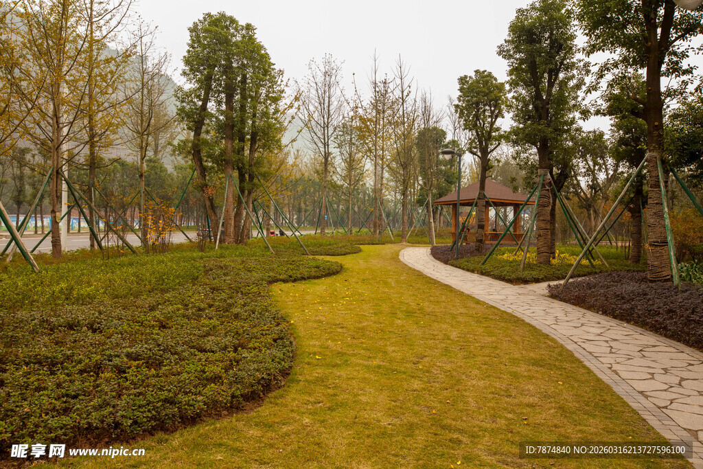 公园小径绿意盎然景观美