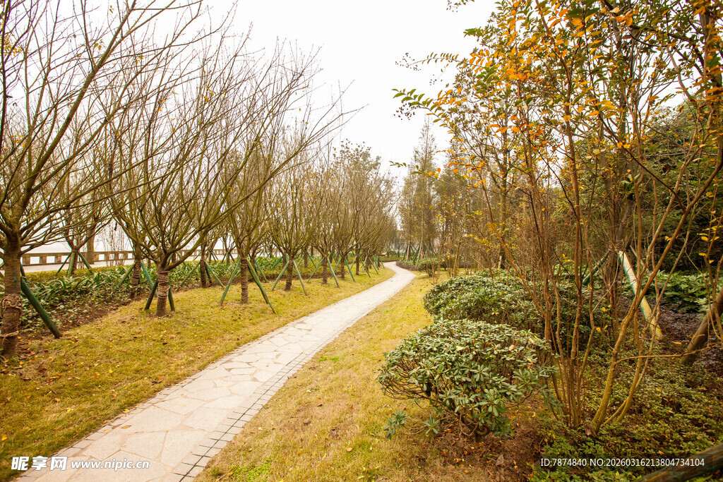 秋日林间小路 静谧美好