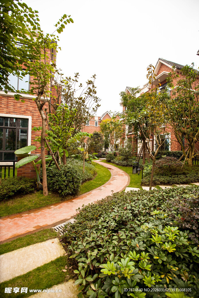 优雅庭院景观住宅小路