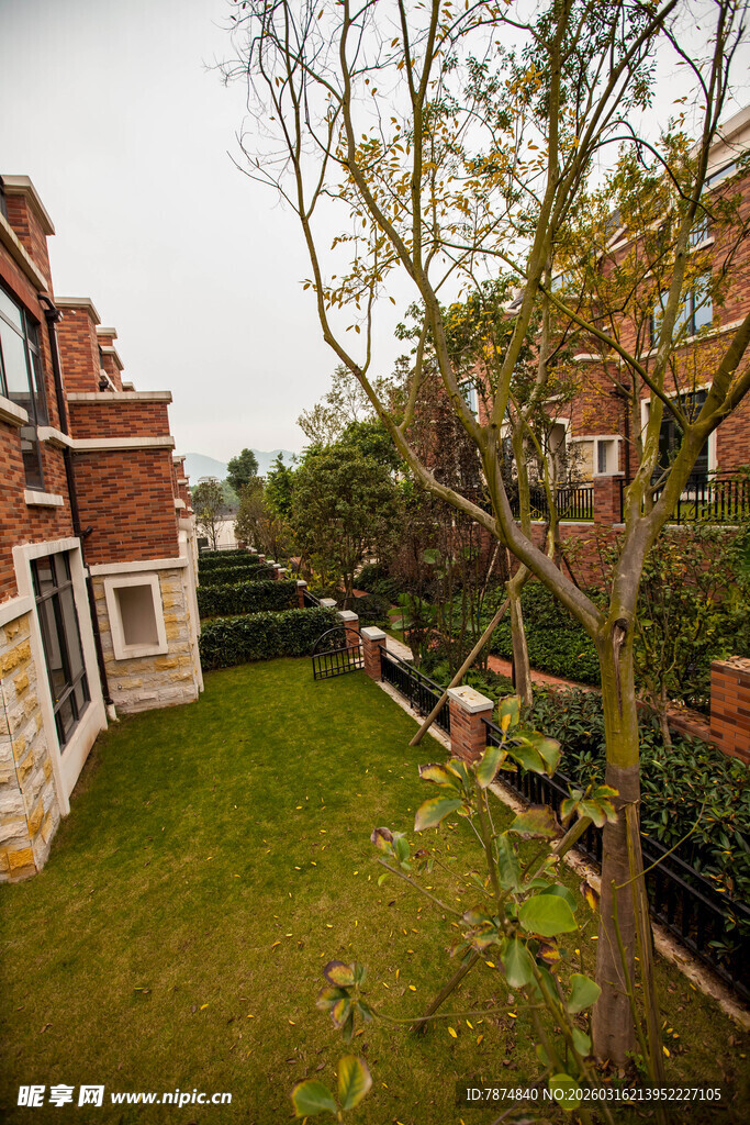 庭院绿植景观 静谧舒适