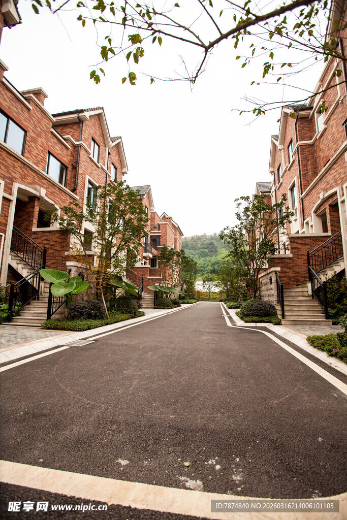 联排别墅旁的整洁道路