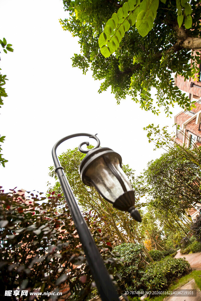花园中的复古路灯