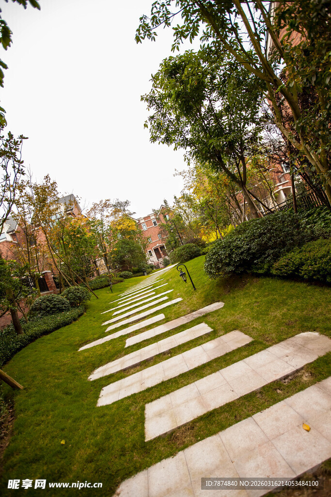 林间石径 绿意盎然的景致