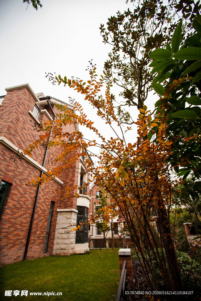 红砖建筑旁的秋日树木