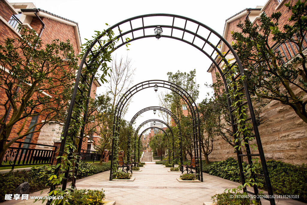 拱形绿植装点的美丽步道