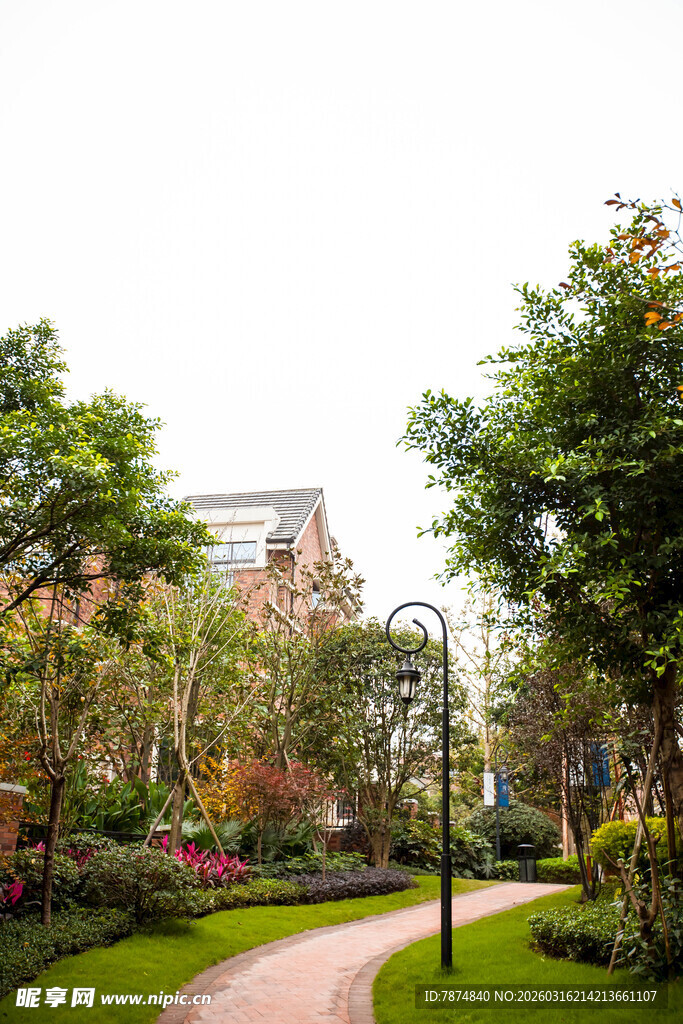 小区内的优美绿化景观