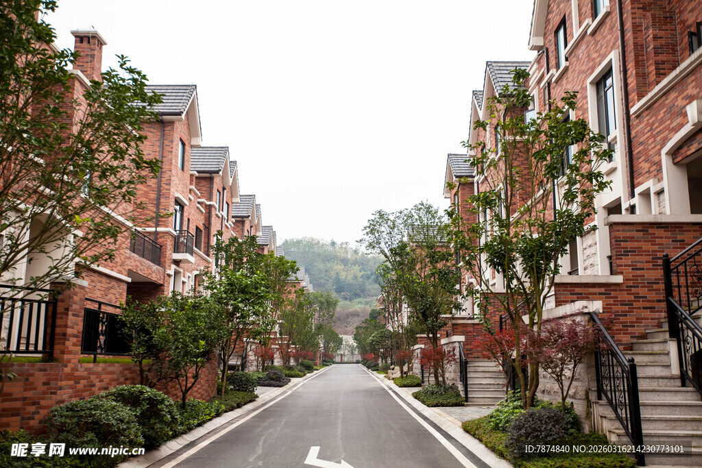 欧式风格住宅区街道景观