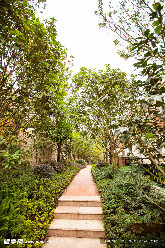 林间木质小径 绿意盎然