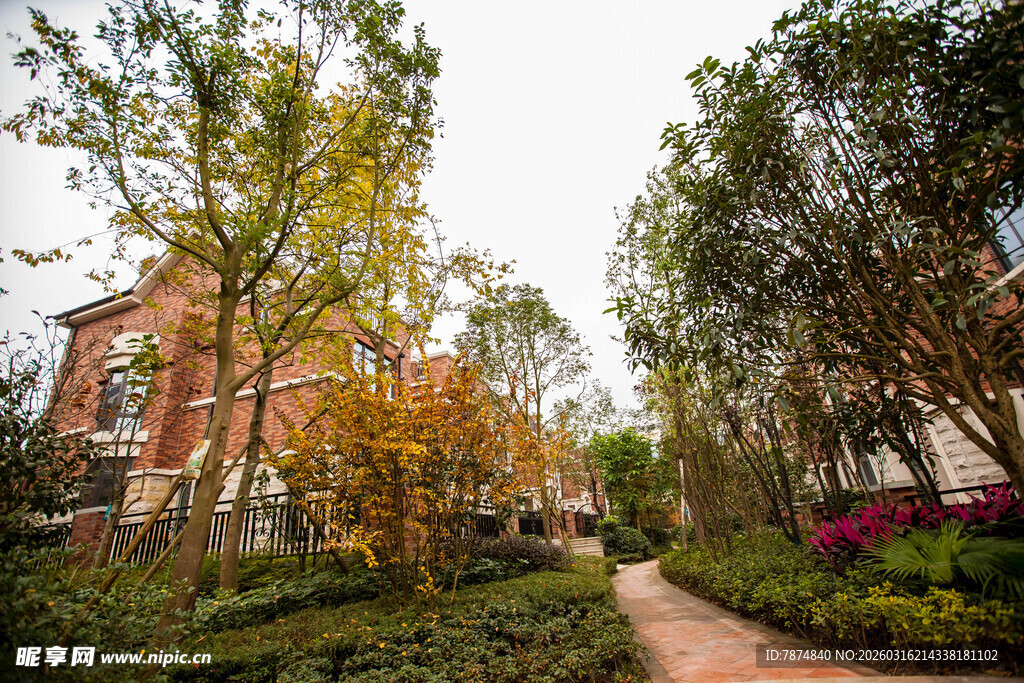 秋日小区静谧林荫小道