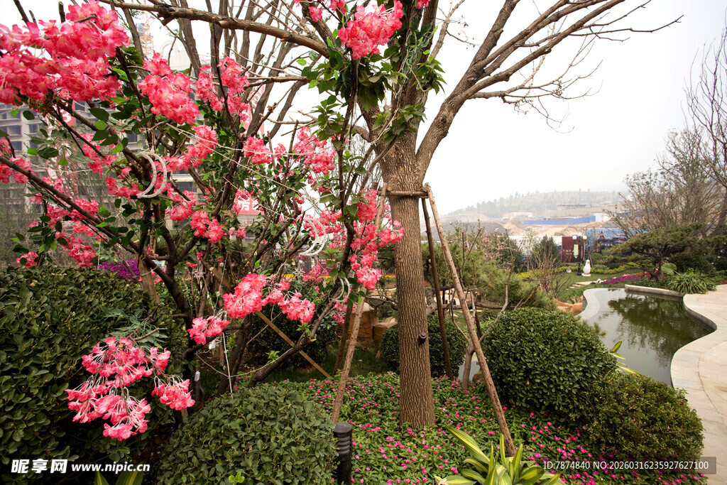 春日烂漫花丛中的小径