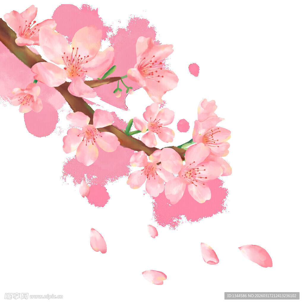 粉色烂漫樱花枝