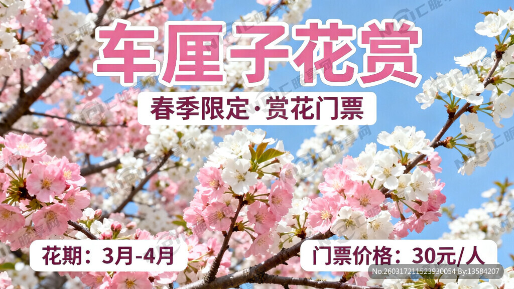 春季 车厘子开花 赏花门票