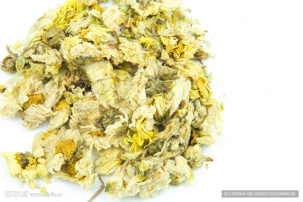 白底中药干菊花