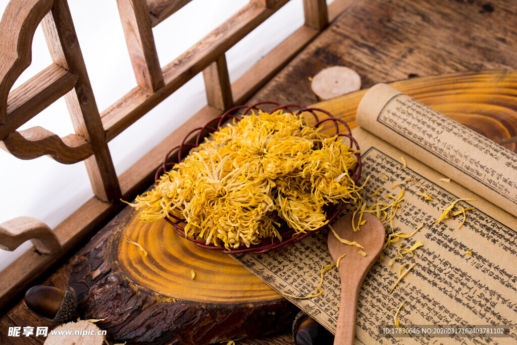 窗前的一盘金丝皇菊