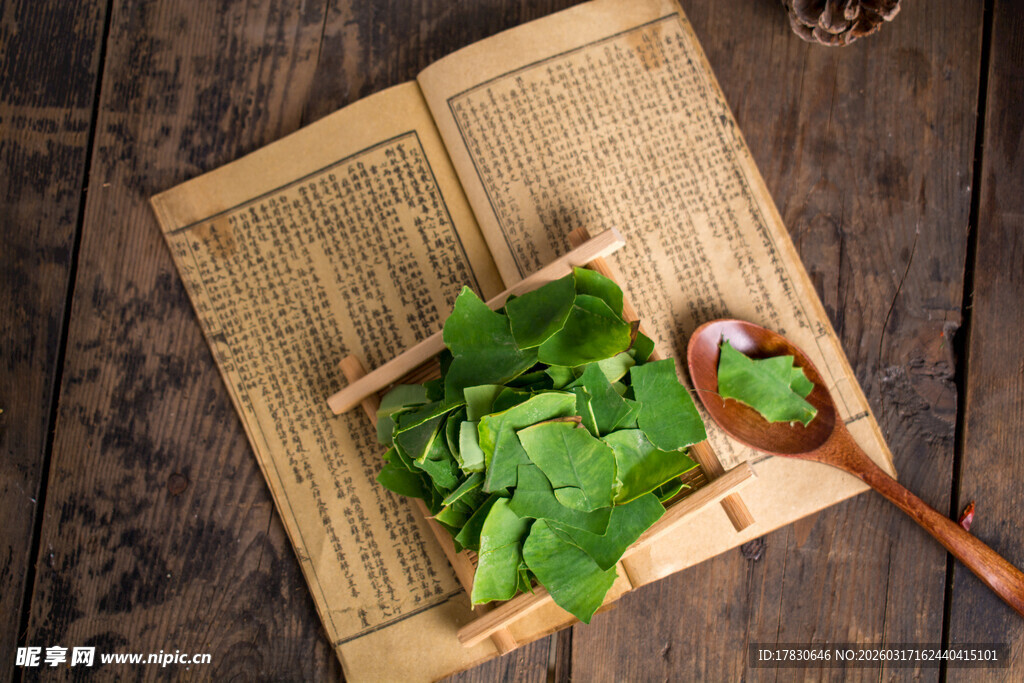古医术上的荷叶茶