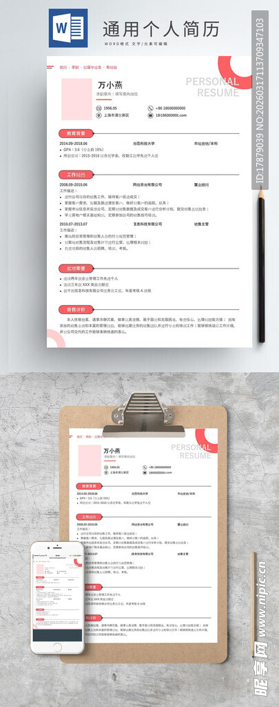 简约商务表单模板展示