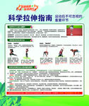 科学拉伸指南海报