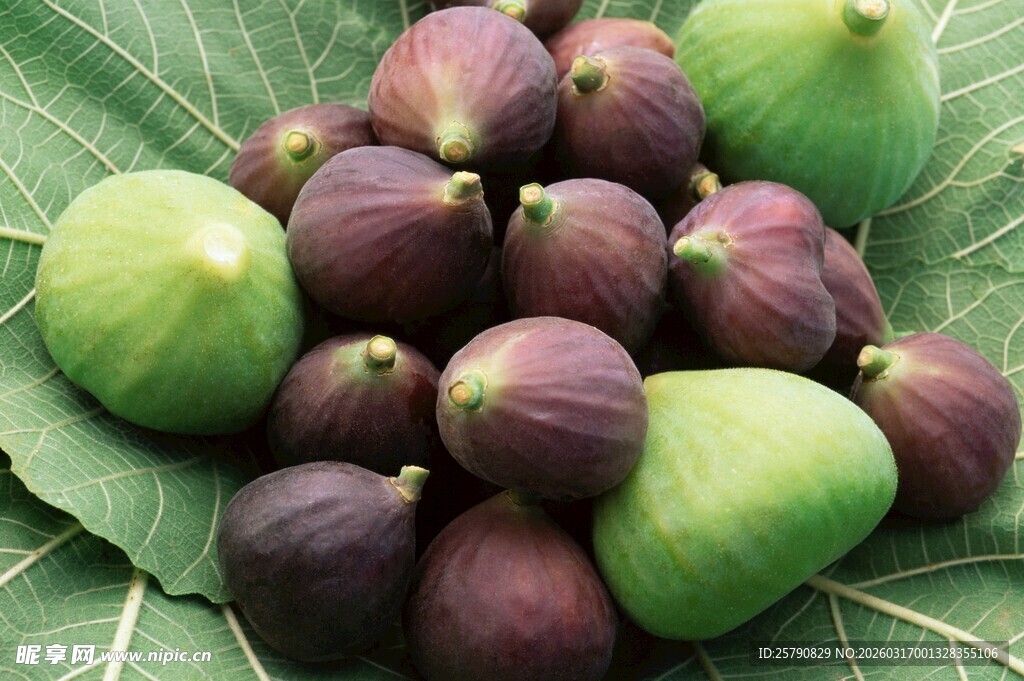 新鲜无花果与绿叶相伴