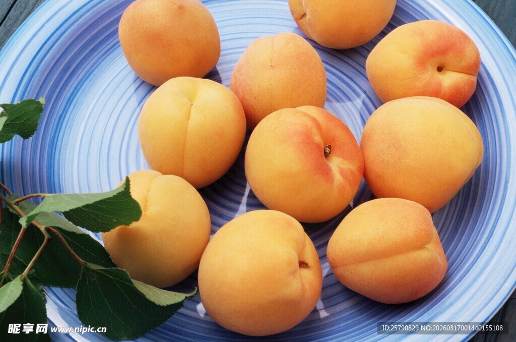 蓝盘上的鲜嫩黄杏