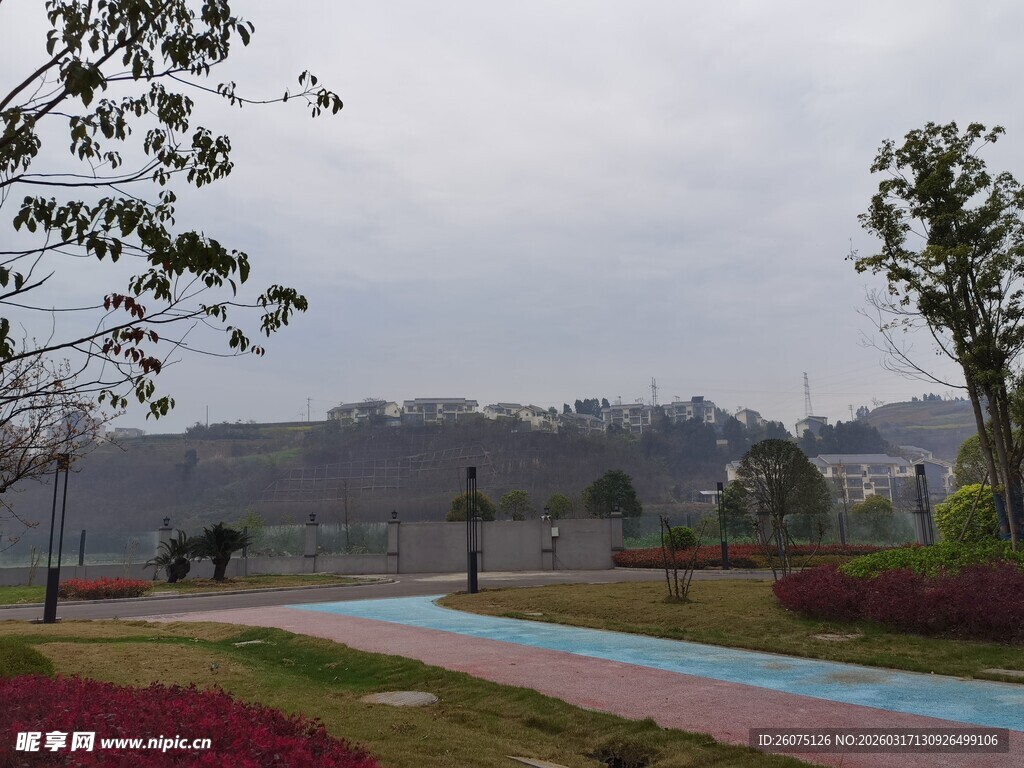 公园彩色步道风景