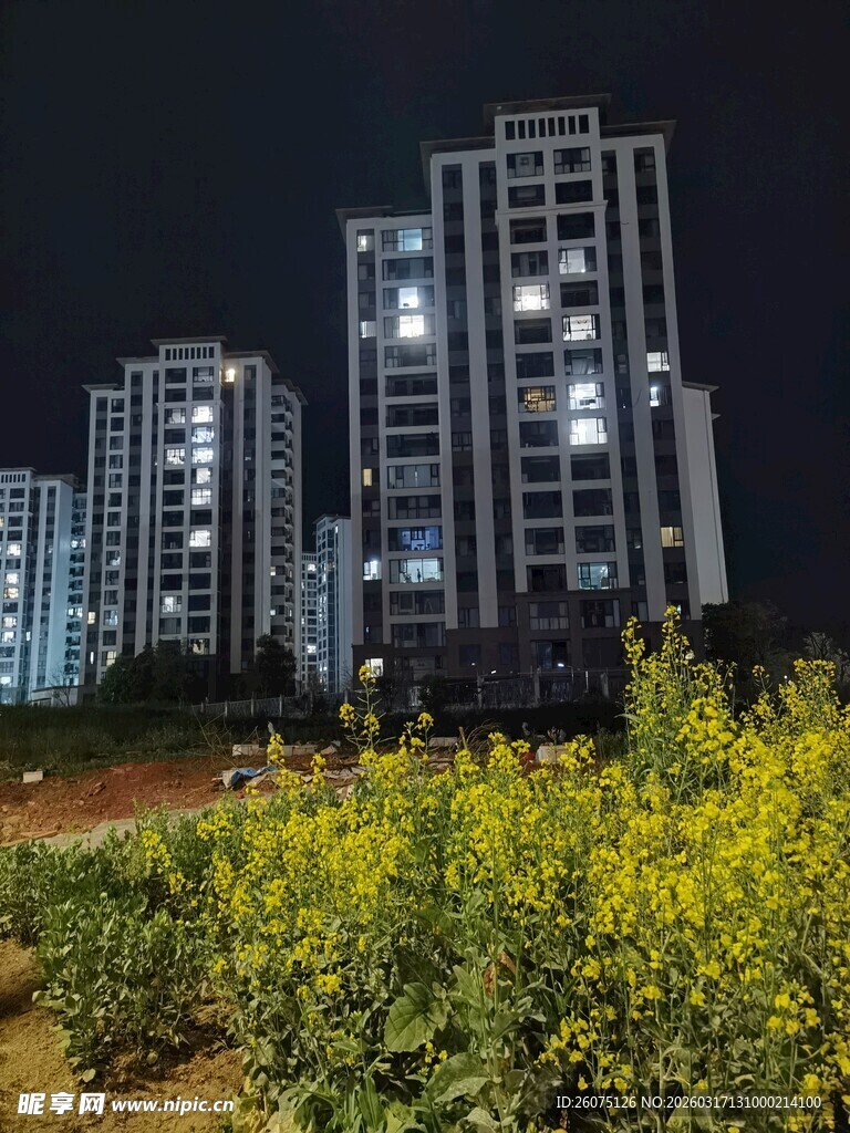 夜幕下的高层住宅与绿植