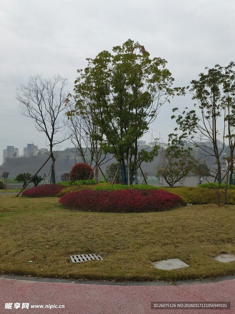 公园景观中的绿植与步道