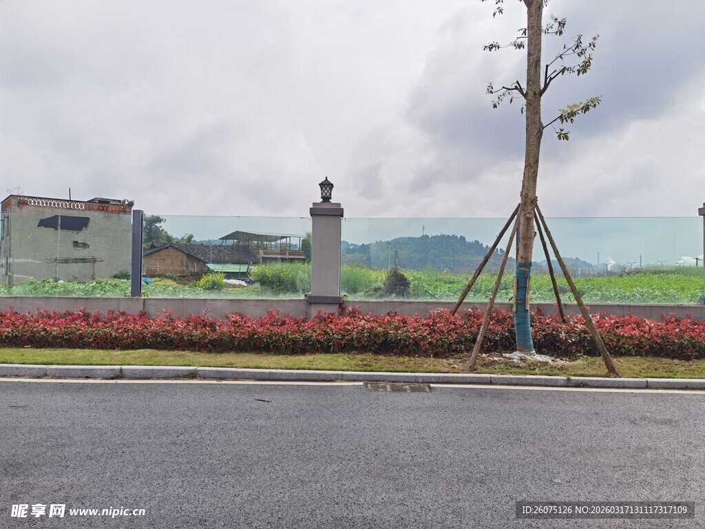 道路旁的景观