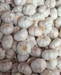 大蒜