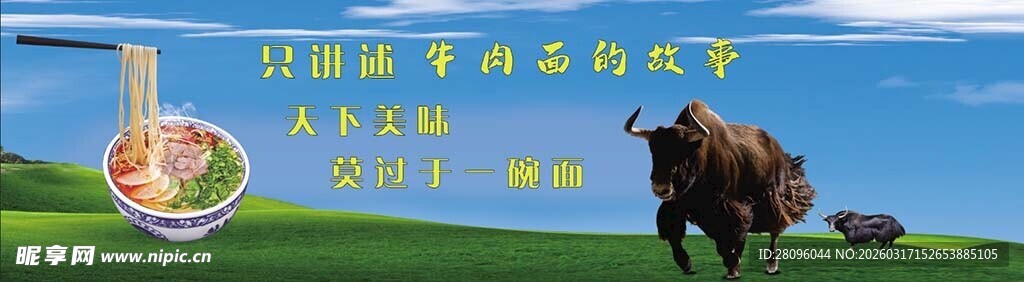 草原风光与骏马