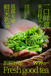 鲜嫩茶叶鲜纯好茶海报