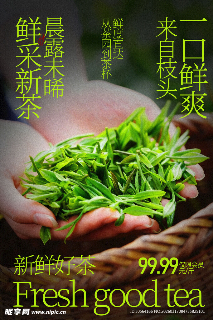 鲜嫩茶叶鲜纯好茶海报