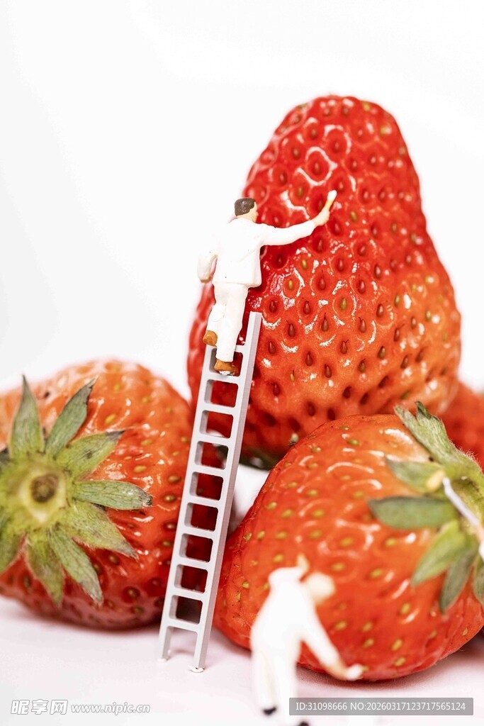 草莓上的小人冒险场景