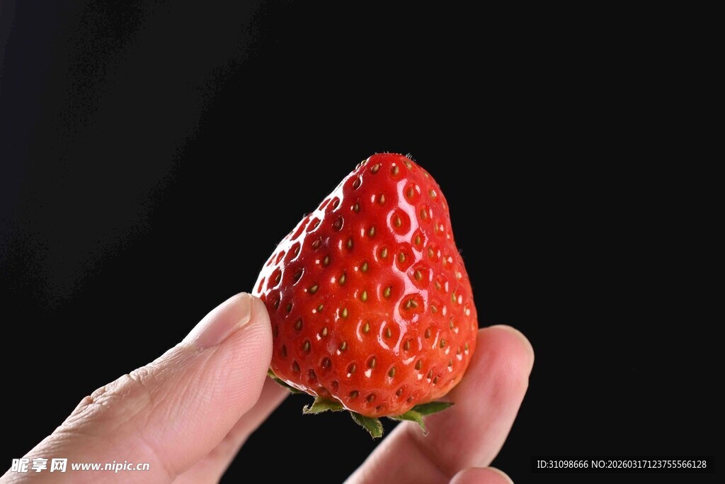 手托鲜红饱满大草莓
