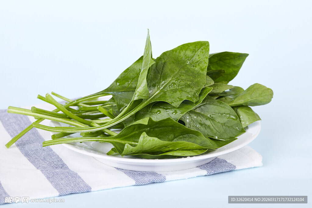 菠菜