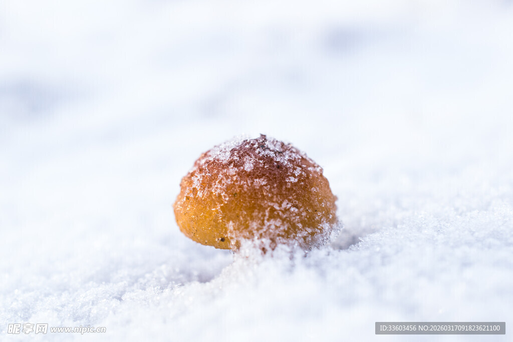 雪覆蘑菇