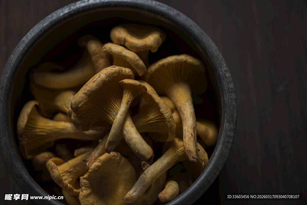 碗中美味鸡油菌干货