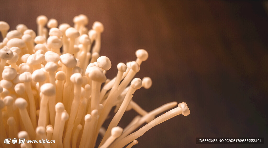 新鲜金针菇特写