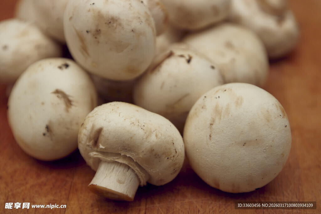 新鲜白蘑菇特写