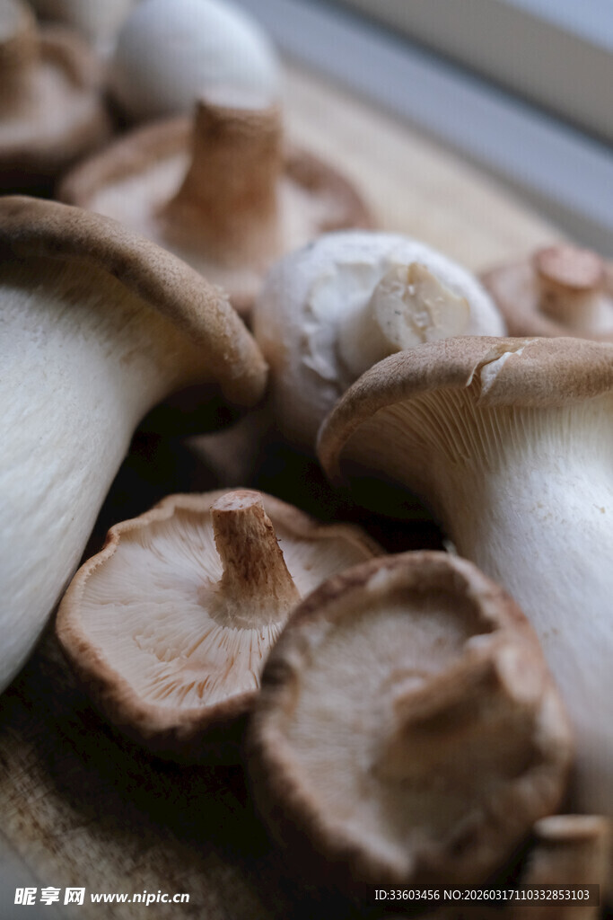 新鲜蘑菇特写